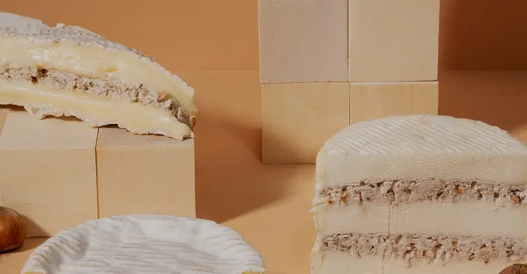 Dégustation vin et fromage au Tunnel de la Collonge, à Ambierle à Ambierle