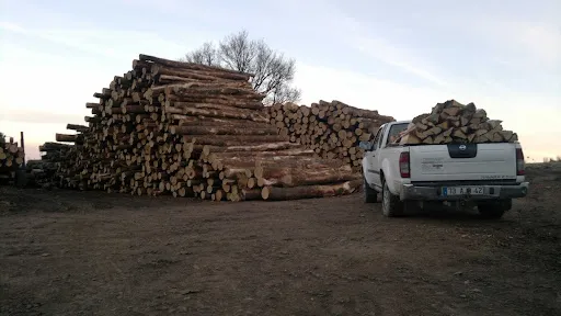 BARTASSOT TOUT LE BOIS ENERGIE à Le Coteau