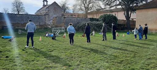 Educateur canin ROANNE Olivier Petit à Le Coteau