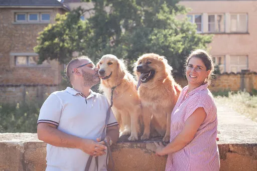 Elevage des Sept Royaumes à Le Coteau