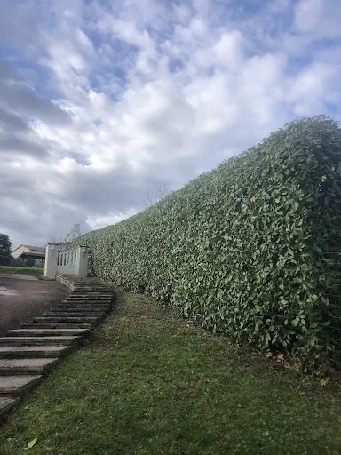 Esprit Vert Services à Le Coteau