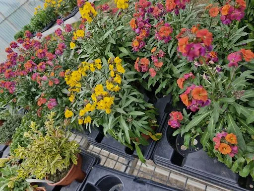 Jardinerie loiseau la production à Le Coteau