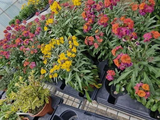 Jardinerie loiseau la production à Le Coteau